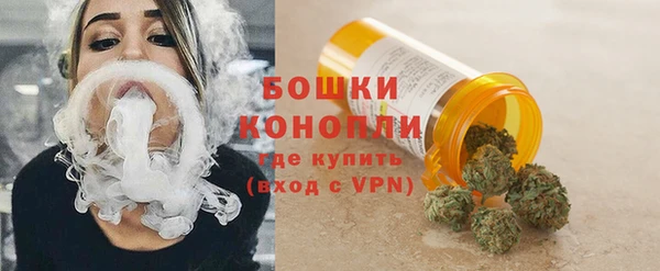 стафф Верхний Тагил