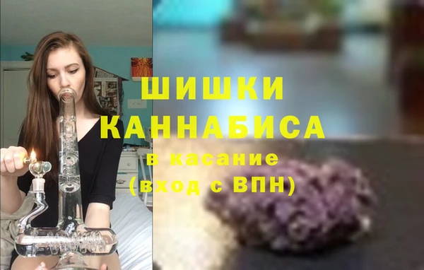 крисы Верея