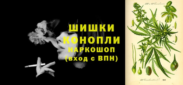 стафф Верхний Тагил
