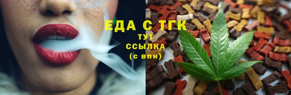 стафф Верхний Тагил
