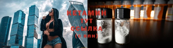 крисы Верея