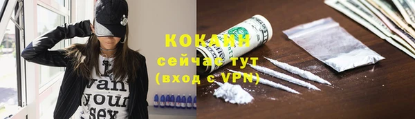 стафф Верхний Тагил