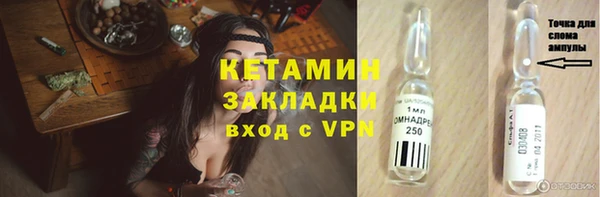 крисы Верея